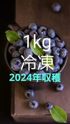 冷凍ブルーベリー2kg