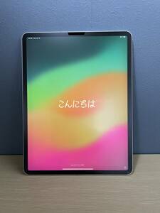 iPad Pro 12.9インチ Wi-Fi+Cellular 256GB シルバー Simロック解除済 利用制限○