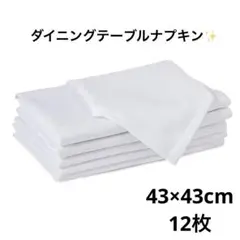 Encasa Homes ダイニングテーブルナプキン 43×43cm 12枚