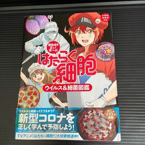 講談社 はたらく細胞　感染症を正しく学べる! はたらく細胞ウイルス&細菌図鑑