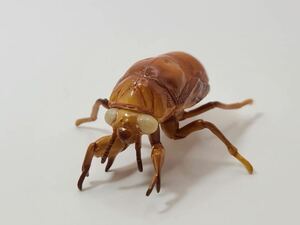 チョコQ　日本の動物　チョコエッグ　昆虫　フィギュア　アブラゼミ(幼虫)地中生活期
