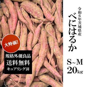 令和6年茨城県産　サツマイモ　さつまいも　紅はるか　20キロ　訳あり　20k 家庭用