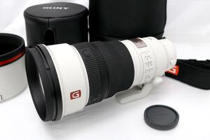 極美品｜ソニー FE 300mm F2.8 GM OSS SEL300F28GM CA01-M3178-2B1