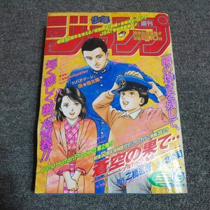 少年ジャンプ　1995年16号　蒼空の果て