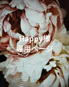 Happy様 確認用ページ