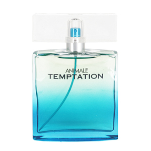 パルロックス アニマル テンプテーション フォーメン (テスター) EDT・SP 100ml 香水 フレグランス ANIMALE TEMPTATION FOR MEN TESTER