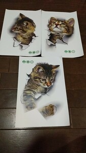 ３ 猫 ウォールステッカー 3枚セット ネコ 壁 ドア