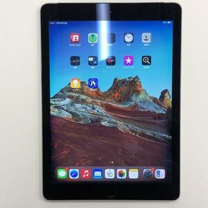 iPad Air 第2世代 16GB Softbank版 スペースグレイ 訳あり品 中古[27778872]