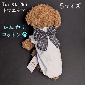 Toi et Moi （トワエモア） Sサイズ （胴囲36） ひんやり！アイスコットン　チェックリボンTシャツ （ブルー）　/定価3,700円　ラスト！