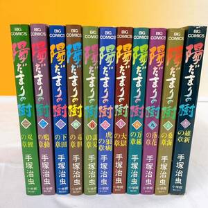 i4-T5/8 陽だまりの樹 手塚治虫 全11巻 ビッグコミックス 小学館 