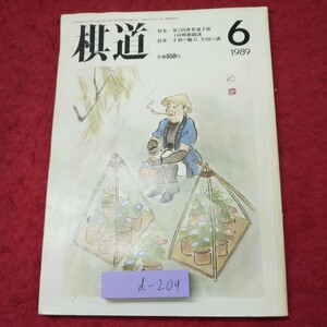 d-209 ※9 棋道 1989年6月号 平成元年6月1日 発行 日本棋院 雑誌 囲碁 ゲーム 趣味 解説 記録 試合 大会 坂田栄男 秋山賢司 太平修三