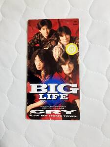 BIG LIFE CRY