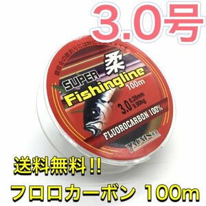 (L56)送料無料・フロロカーボン 3.0号 100m巻き 道糸　リーダー