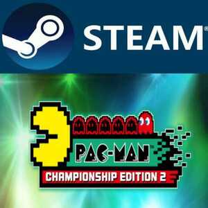 PAC-MAN CHAMPIONSHIP EDITION 2 パックマン PC STEAM コード