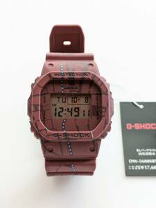 G-SHOCK Treasure Huntシリーズ DW-5600SBY-4JR