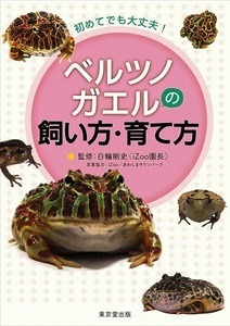 ベルツノガエルの飼い方・育て方－初めてでも大丈夫！