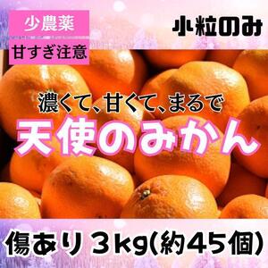 みかん 数量限定！甘い!小粒!小さいサイズ! B級小玉の天使のみかん 3kg小玉 ss 有田みかん 送料別4