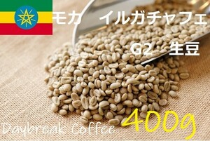 コーヒー生豆　モカイルガチャフェG2　ウオッシュド 400ｇ 送料無料　グリーンビーンズ