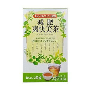 がんこ茶家 減肥爽快美茶 30袋 × 3個セット