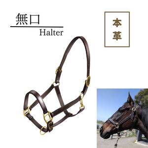 乗馬用品　本革　無口　ホルター　コブ　フル　ブラウン　レザー　頭絡　サラブレッド 乗馬 馬 馬術