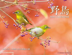 2025 野鳥カレンダー（壁掛け） ([カレンダー])