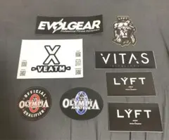 LYFT  VITAS VEATM EVOLGEAR ステッカー