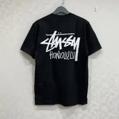 【人気モデル】STUSSY ステューシー　М  ストックロゴ　Ｔシャツ　ハワイ