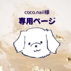 coco.nail様専用( *˙꒳˙* )