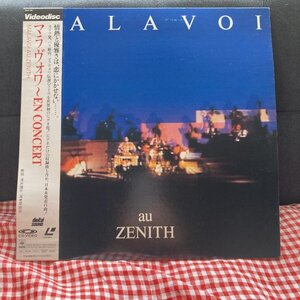 【Videodisc】Malavoi（マラヴォワ）En Concert　au ZENITH ★マルチニーク / フレンチ・カリブ / ズーク　Zouk