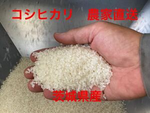 令和６年 コシヒカリ １０ｋｇ　無洗米 農家直送