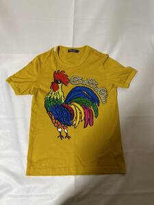 178 Dolce & Gabbana Tシャツ ドルチェ&ガッバーナ Tシャツ ドルガバ 1円スタート