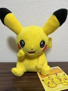 匿名発送❗　マイピカチュウ　ぬいぐるみ　mypikachu