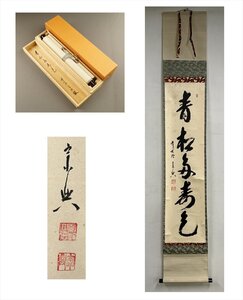 【千寿】大徳寺派 極楽寺 西垣宗興 青松多寿色 一行書 紙本 d675◆箱/茶道具/古美術/時代品/掛軸/100025434