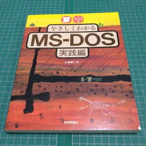 やさしくわかるMS―DOS 実践編