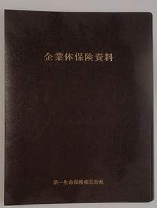 600/クリアファイル ブック 固定式 10ポケット/B5/表紙は不透明 黒/第一生命 企業体保険資料/書類収納 ファイリング 出入便利 レア/USED