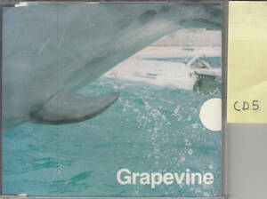 CD　風待ち GRAPEVINE