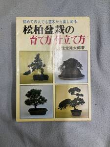 問題あり 初めての人でも苗木から楽しめる 松柏盆栽の育て方 仕立て方 信定滝太郎著 昭和49年6月20日6版 日本文芸社