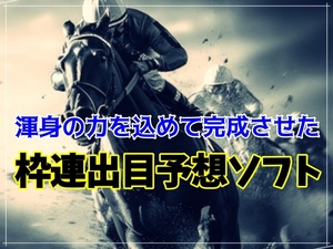 フルパワーを込めて完成させた枠連出目理論！4ケ月回収率160%達成！厳選目抽出ソフト！競馬 JRA 投資 副業 オリジナル 在宅 初心者 当る