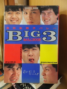 全日本男子バレー　BIG３　　あんちょこBOOK