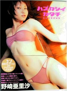 野崎亜里沙　　写真集 『 ハズカシイカタチ　ナンデモアリサ 』 (ぶんか社 刊)