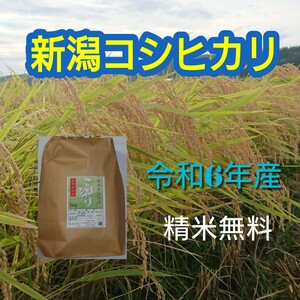 農家直送！新潟コシヒカリ玄米10kg 新米 