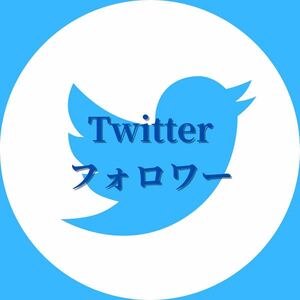 【最高品質・人気】《Ｘ(旧Twitter) フォロワー500》おまけ～便利なSNS増加ツール～ SNS Instagram Ｘ(旧Twitter) TikTok フォロワー