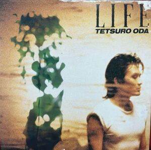 織田哲郎 LIFE ★プロモサンプラー 見本盤vinyl★シティポップ#シティポップ #メロディメーカー #中山美穂&WANDS #ZARD #坂井泉水 #DEEN