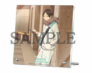 ●新品・未開封/スタンド/国見英 ハイキュー!! アクリルプレート One Fine Day! /アニメイト限定/国見 英/ストラップ・キーホルダー系●