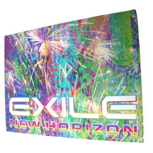 ★EXILE（エグザイル）・三代目JSB・EXILE TRIBE他 EXILEグループ★非売品・フォトカード★タレントグッズ★E822