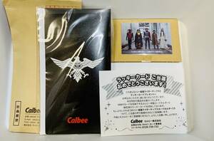 【当選品】シン・仮面ライダーチップス 未開封カードホルダー ラッキーカード(交換済) No.48 池松壮亮 浜辺美波 西野七瀬