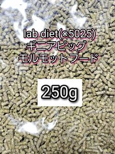 ギニアピッグ ラブダイエット 5025 モルモットフード 250g lab diet デグー チンチラ モルモット 小動物