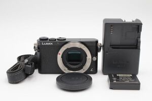 ■ほぼ新品■ PANASONIC LUMIX DMC-GM1K ボディ #43a12