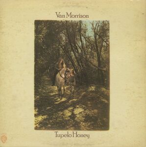 米オリジLP！マトリクス両-1 緑ラベル Van Morrison / Tupelo Honey 1971年 Warner Bros. WS 1950 ヴァン・モリソン テュペロ・ハニー