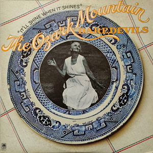 The Ozark Mountain Daredevils【国内盤 Rock LP】 It